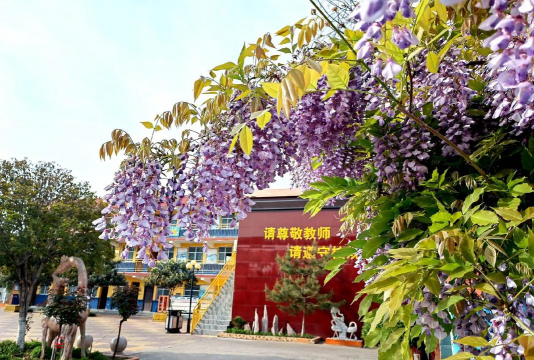 平乡县紫藤花艺术培训学校阅读区