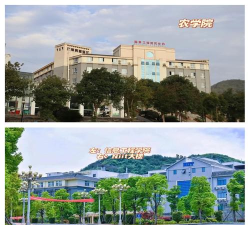 铜仁市中等职业学校(铜仁卫校)阅读区