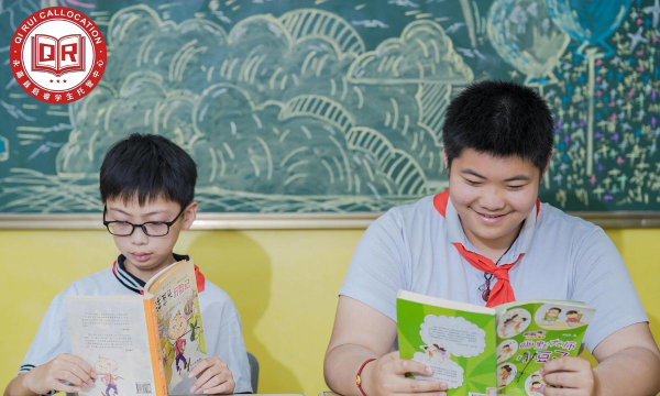 大连市普兰店区睿名文化艺术培训学校有限公司