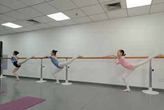 成都市武侯区蝶舞艺术培训学校有限公司