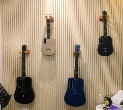 重庆两江新区桃言知声艺术培训中心有限公司