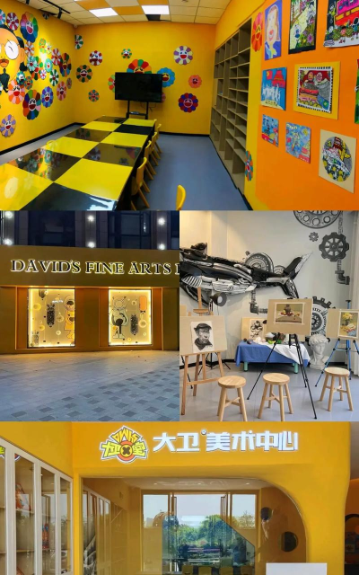 贵阳市南明区大卫美术培训中心有限公司