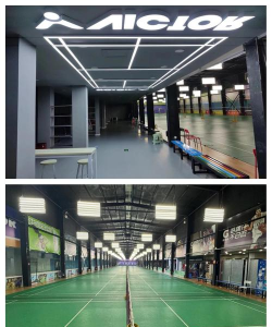 南京轻羽飞扬体育发展有限公司