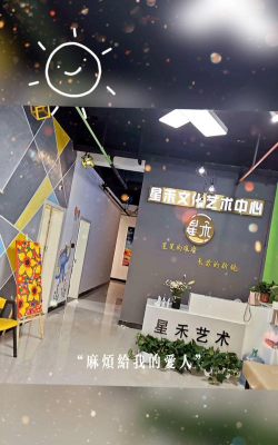 盘州市星禾艺术有限公司