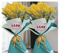 葫芦岛市连山区寺儿堡镇初级中学