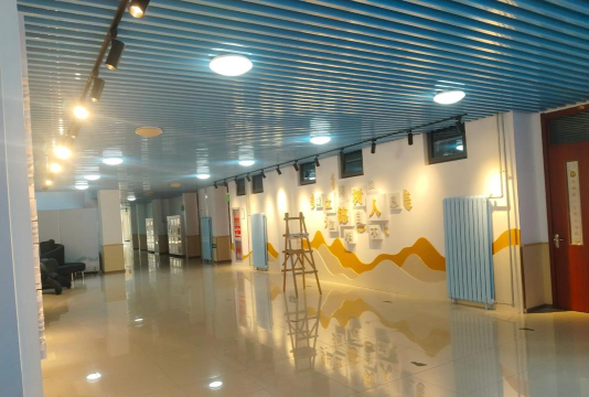 罗定市雏鹰附城文化艺术发展有限公司