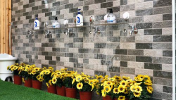 兰州市城关区鼓楼巷幼儿园