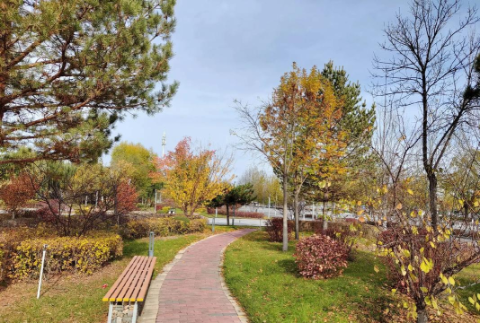 乌拉特后旗乌盖中心校