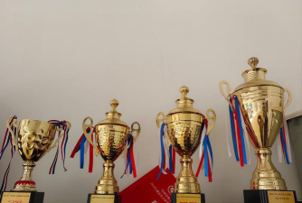 五河县复强武术培训有限公司