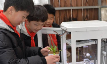 宁波市北仑区长江小学