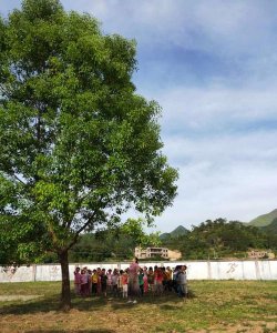 信宜市大成镇城垌小学