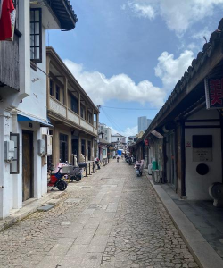 上海市杨浦-凤城高级中学