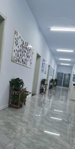 葫芦岛市连山区蓓蕾艺术辅导有限公司