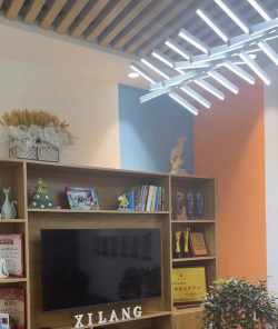 重庆行远优才艺术培训有限公司