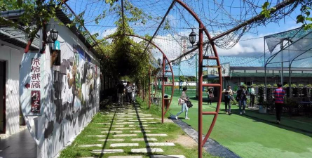 博罗县长宁镇松树岗小学