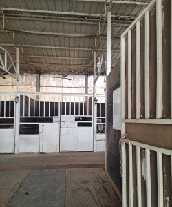 积石山县红岭艺术培训中心