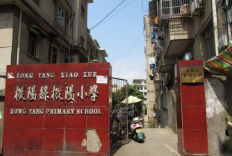 枞阳县枞阳镇辅导小学