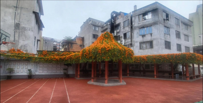 桐城市南演和平小学