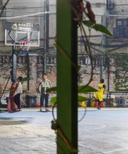 佛山市顺德区杏坛镇金智善体育培训有限公司