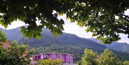 涪陵区大木乡中心校