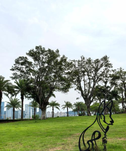 成都市锦江区琉璃乡麻柳湾幼儿园