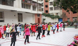 开江县普安荔舞飞扬艺术培训学校有限公司