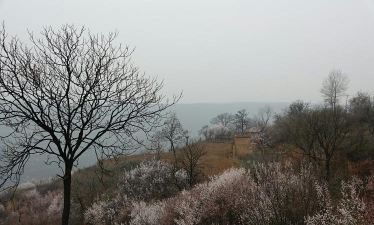 长安区炮里乡初级中学