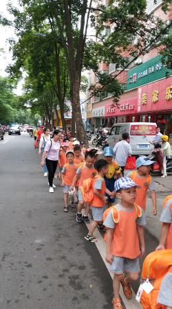 平远县外贸向日葵幼儿园