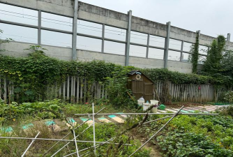 成都市高新区和平社区幼儿园