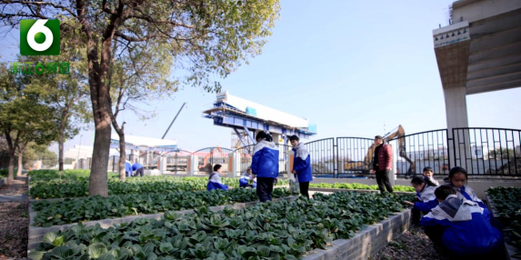 萧山区戴村镇初级中学