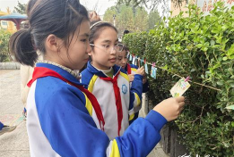 博山区实验小学