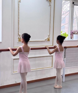 临沂市兰山区金芭蕾艺术培训学校有限公司