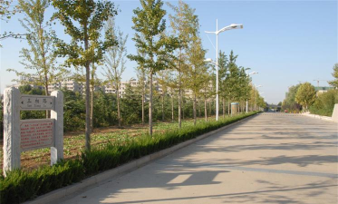 大站镇菜洲教学点