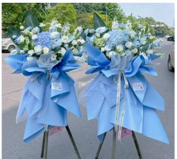 镇赉县建平乡中学校