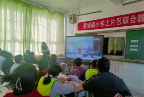 禄丰县碧城镇中心小学