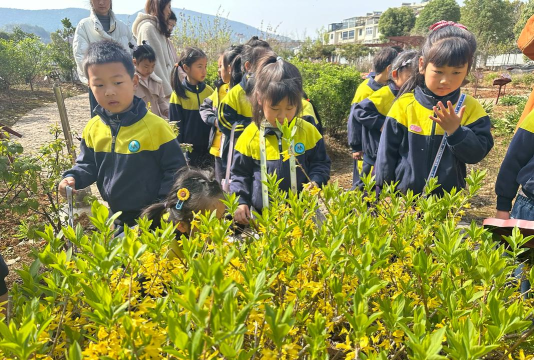 东凤镇大巷小学