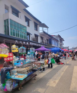 九江县马回岭中学