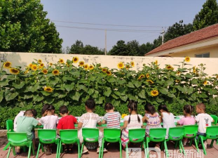 利津县北宋镇宋集幼儿园
