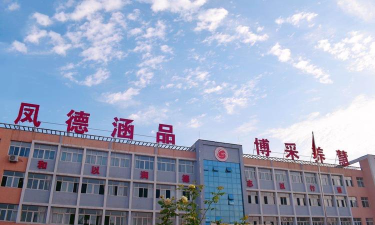 王风楼镇中心小学