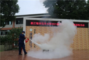 成都高新区石羊小学