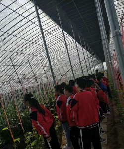 阳信县商店镇中心小学