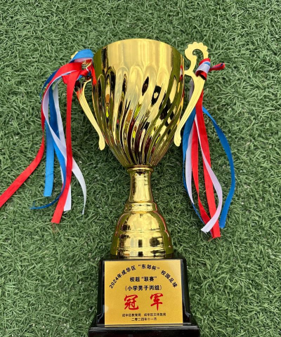 成都市成华实验小学