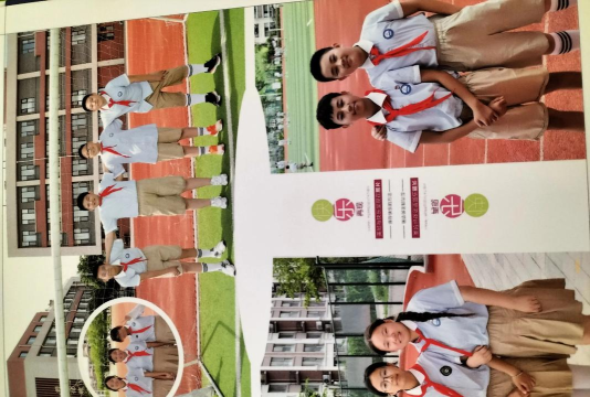 潍坊市坊子区希望培训学校有限公司