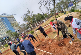 太平镇菱角村小