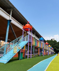 阳江市江城区白天鹅幼儿园