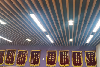 南京小银星艺术培训有限公司河西大街分公司