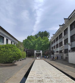 96401部队八一学校