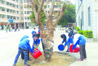 大坡镇大坡一中