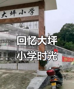 重庆大坪小学