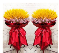 白石镇白石三中